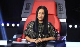 那英爆料视频,揭秘娱乐圈不为人知的真相